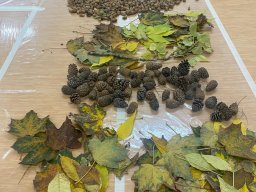 7321fbd0-7eb0-4397-a389-b0fd4e5c8dda