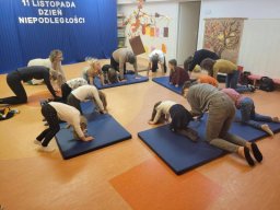 f_large_828385673dedc3b792d416c84c171d38bad1dc96ce7