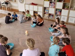 f_large_82873641c354fcad445bffd78852a9f63ad68b3088a