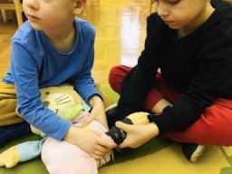 f_large_830c6cbea7ad9f6b0018803917fd050e0ed61cd33be